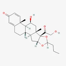 Budesonide 500 mcg