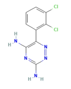 Lamotrigine 25 mg