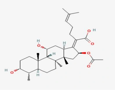 Fusidic acid 2 %