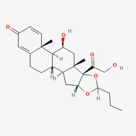 Budesonide 1000 mcg