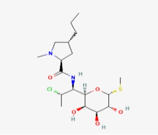 Clindamycin 300 mg/2ml