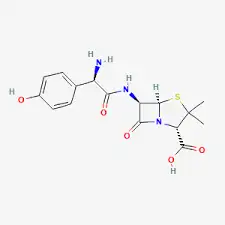 Amoxycillin 500 mg 