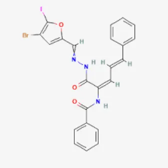 Timolol 0.5% 