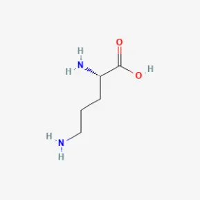 L-Ornithine 150 mg