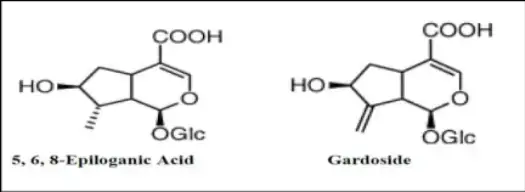 Isapgol Psyllium Husk 200gm