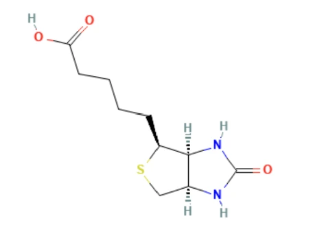 Biotin 5 mg + Finasteride 1 mg